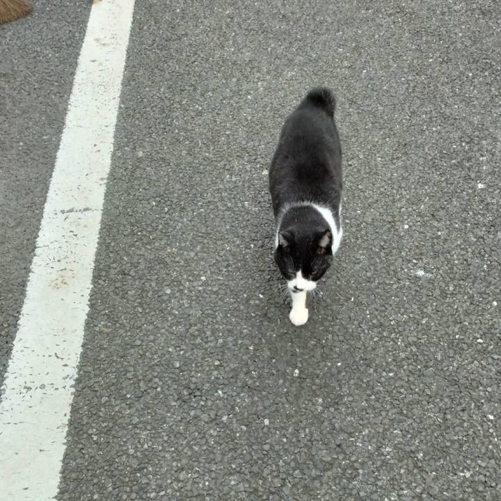 Bdb78ab0 3923 4801 9b1e 61c4d417cabc 1699857845975