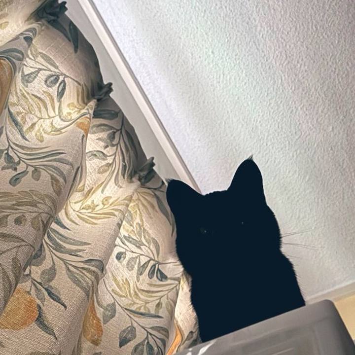 Bdb79e95 4e12 4c48 a67a 31faa2f0104d 1745715618088