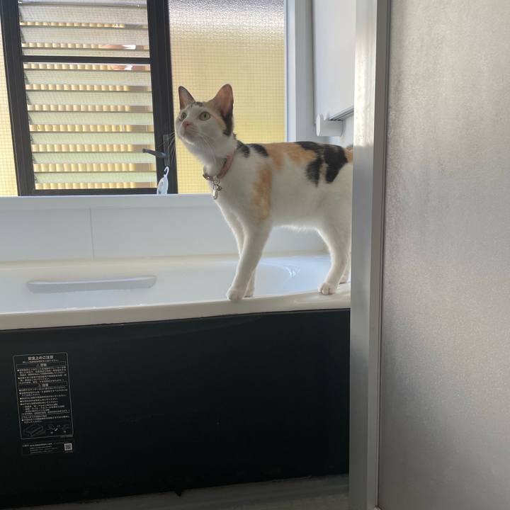 Bdb7c13b 67ac 4ff6 a327 019ef0a854dc 1695946493261