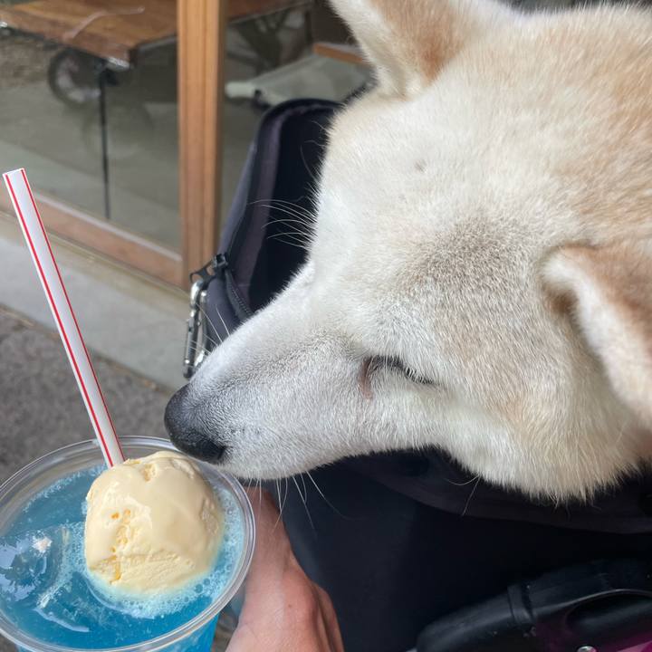 Bdb7e2f7 b091 4513 810c 43b32f12a8e7 1656228006000