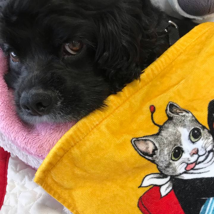 Bdb81169 27d4 458f a6ac a44fdc636fe2 1567228939403