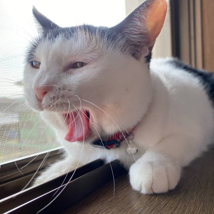 Bdb8277f 6f39 40de 8f51 6dc72834adf6 1664705368783