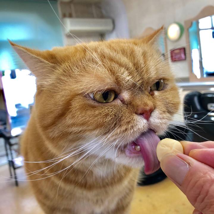 Bdb846a3 bea3 408a b20a ed7964a56017 1546221440700