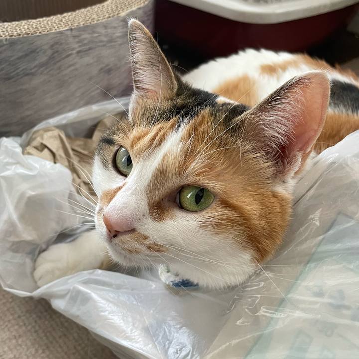 Bdb85287 dc4b 4141 9db0 674bd51cf314 1714277326822