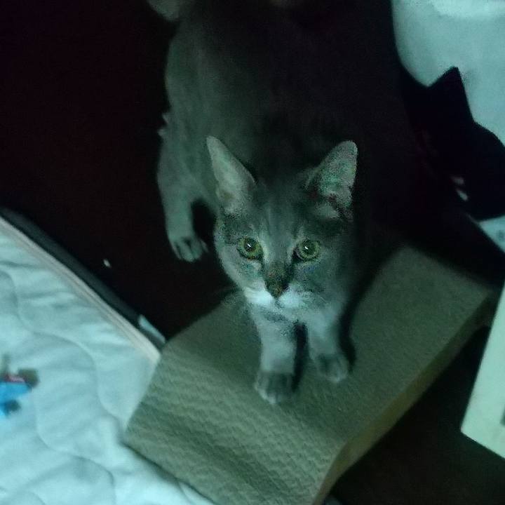 Bdb86165 eba6 4a8f be76 3848225d147d 1685731779176