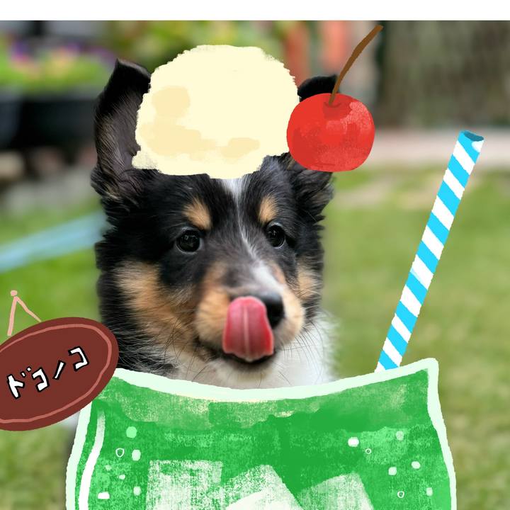 Bdb87765 b630 4e19 8c2a 73ac01c9cad6 1755357301967