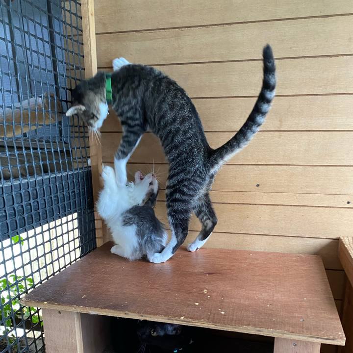 Bdb8975f fcf0 4a31 99f4 45461883dd7b 1631666158547