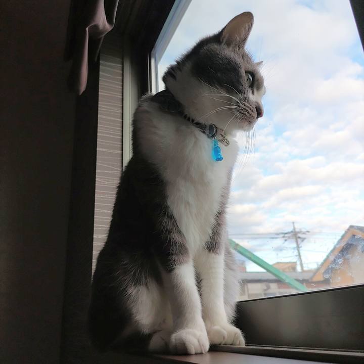 Bdb89adc d6f0 4c37 b42c cbd3140b03ab 1672445538790