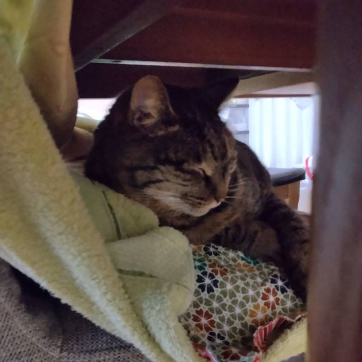 Bdb8b7bb 7eef 425a 8631 6ae27835b62d 1770879028450