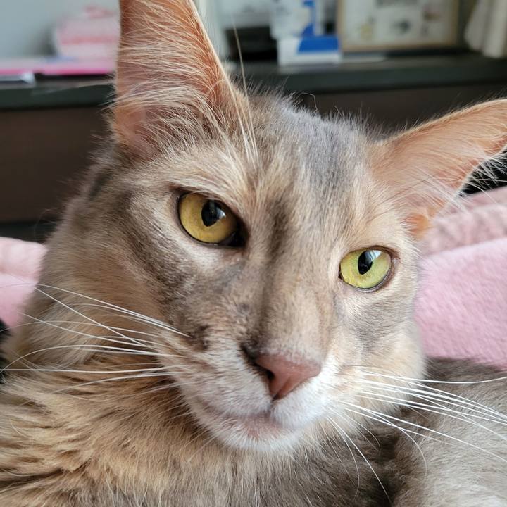 Bdb8d73a 8cd6 4ea7 b8c0 31d4e370b8c7 1655535200685