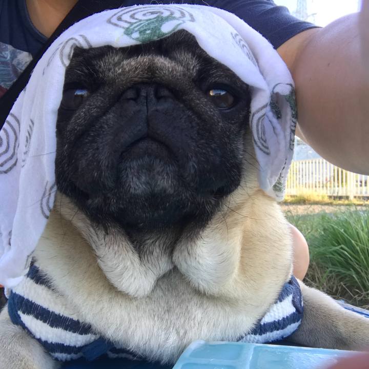 Bdb8e168 d71e 4f20 b880 3b6b35bf851a 1530478385769