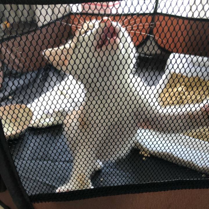 Bdb91022 b751 4fae 8720 499f9f1a854d 1560654747011