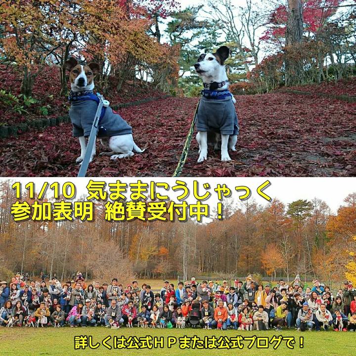 Bdb92270 d347 4e56 be22 e52863c5d5df 1572361167813