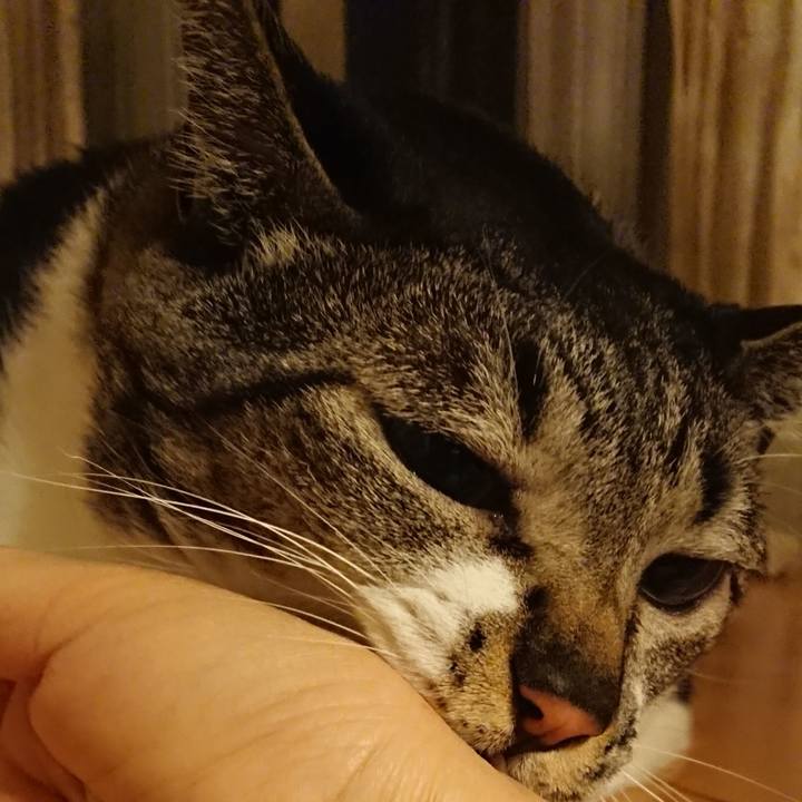 Bdb9b600 5f39 4c7d bbf8 ca9c44ffe7b9 1557264620419