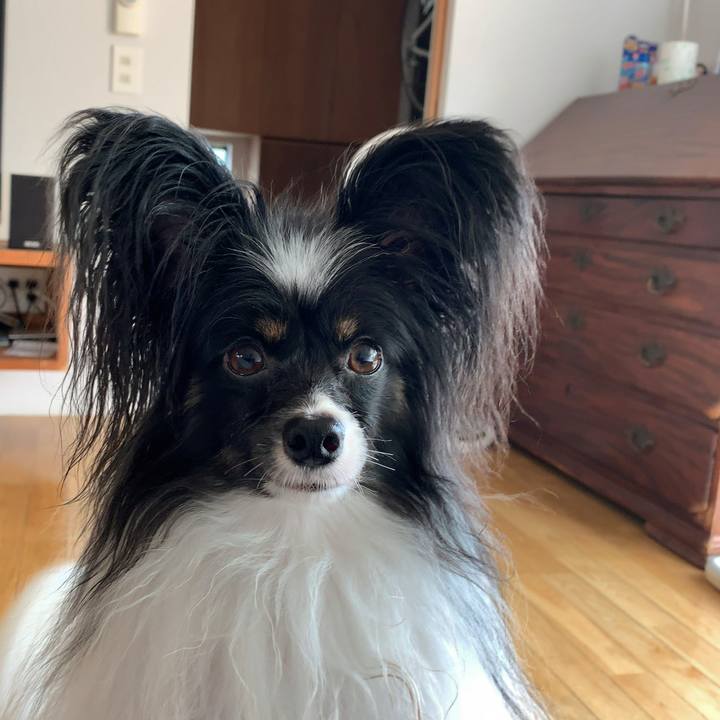 Bdb9d906 99d2 4c66 9af8 b56ca9613708 1569643463327