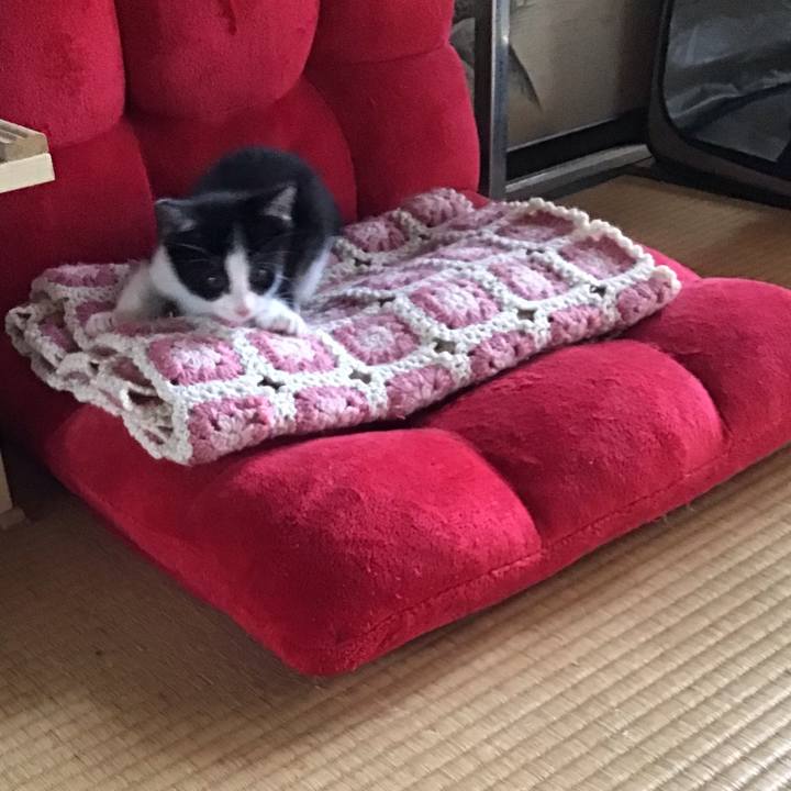 Bdb9da7b 0156 4c6f 963e 6f94ca806307 1624178113414