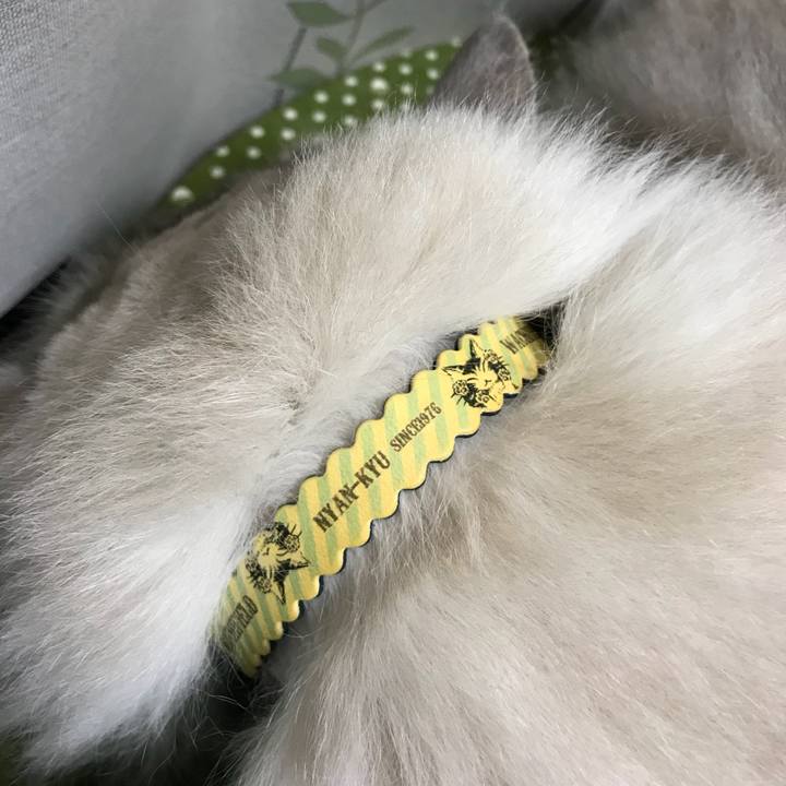 Bdba3023 2bfd 4a3c 8fc6 ee7e77499942 1509671954653