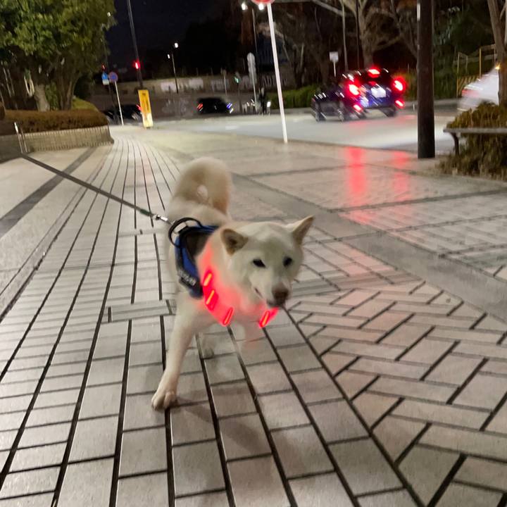 Bdba478b c8d8 4fdc abd6 9520ed88bc9e 1641979786055