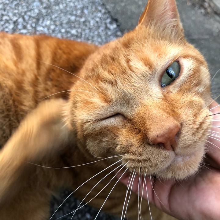 Bdba5084 186f 4ae1 856c 8eee56dd9f81 1530242918556