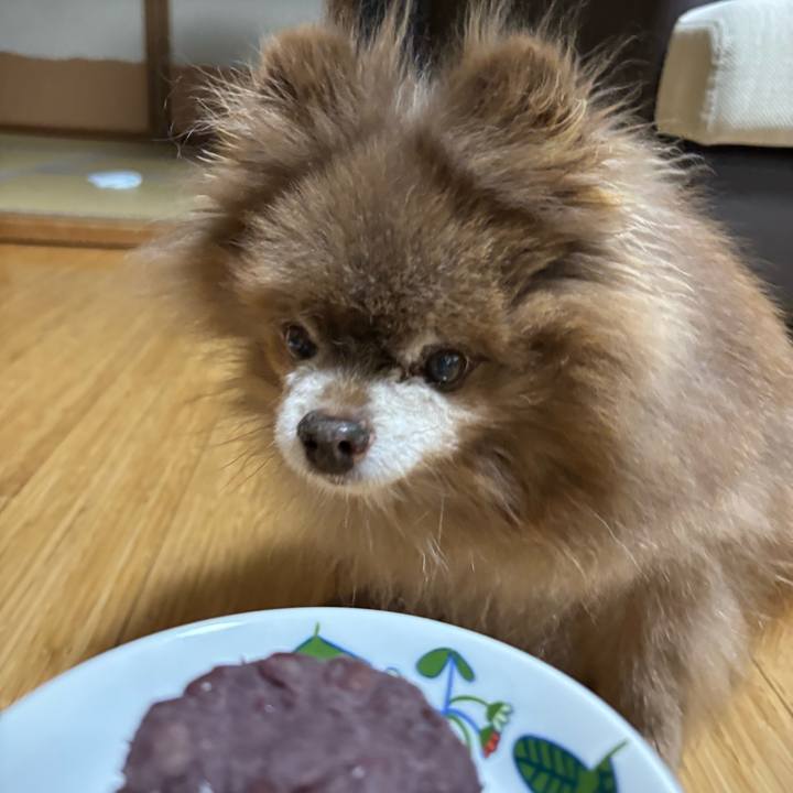 Bdba7266 9c27 4513 80ae ef142785f319 1774125905233