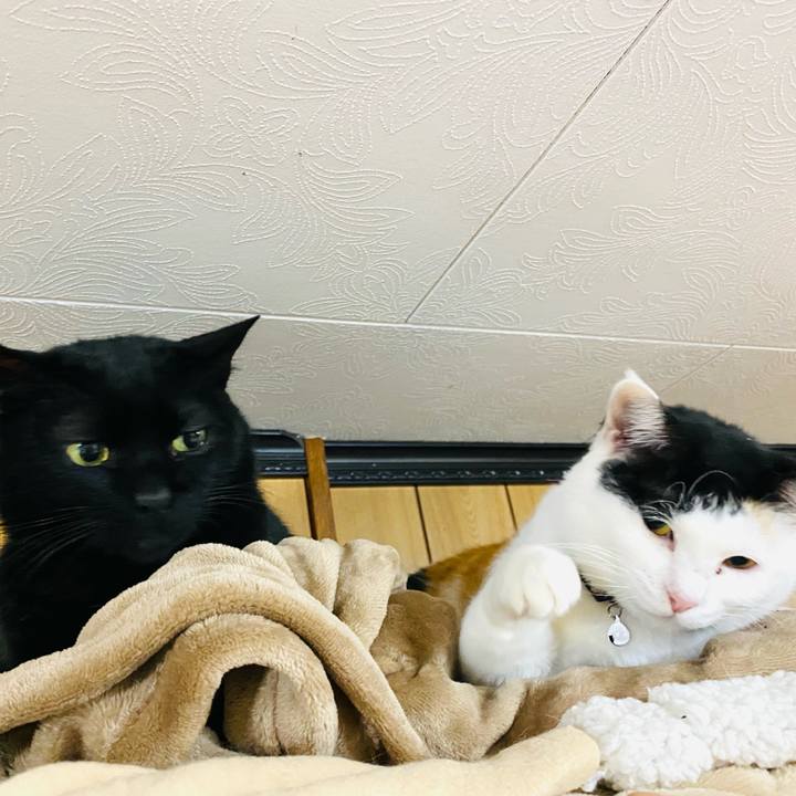 Bdba74b6 ab20 43b9 acbb 595453c5d253 1675980620164