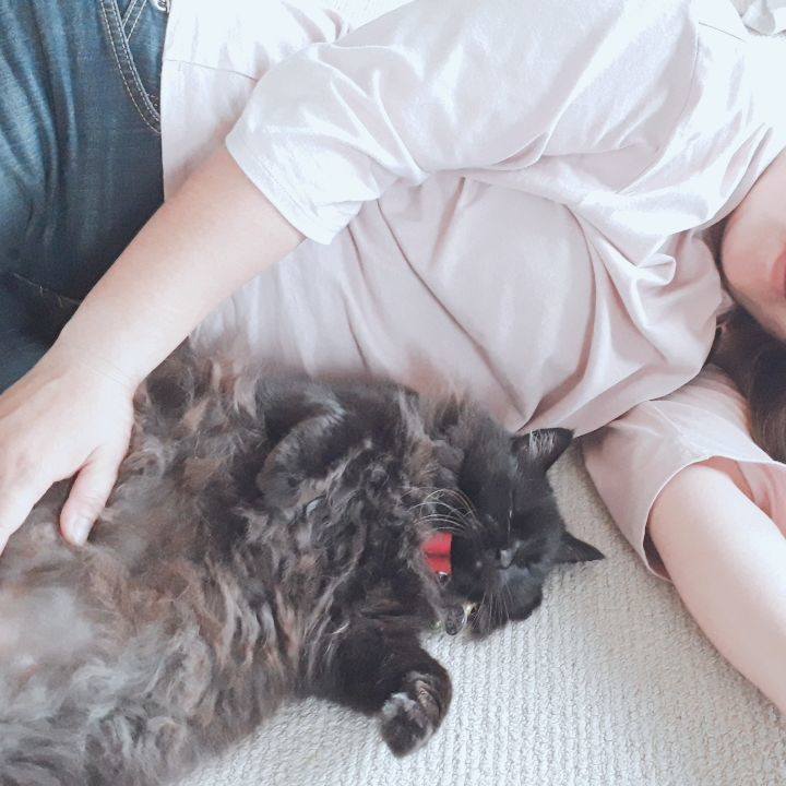 Bdba9485 c2ad 4f82 8ca3 3100f93f11e4 1563202891691