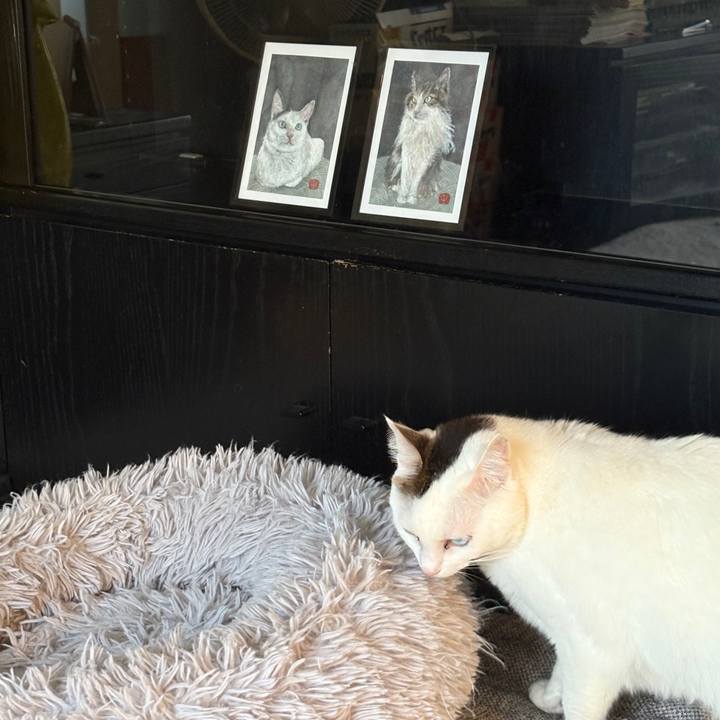 Bdbaa418 1018 4468 8efe b8dfa9a9d792 1739517446096