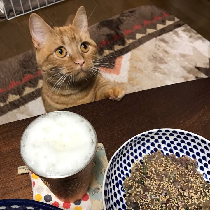 Bdbaa812 4d98 449a 9da9 b4180cbb3398 1523013756845