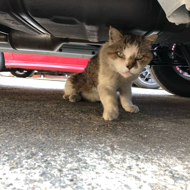 Bdbaae4f 962b 4104 9f3e 9a9430d2470f 1531575999363