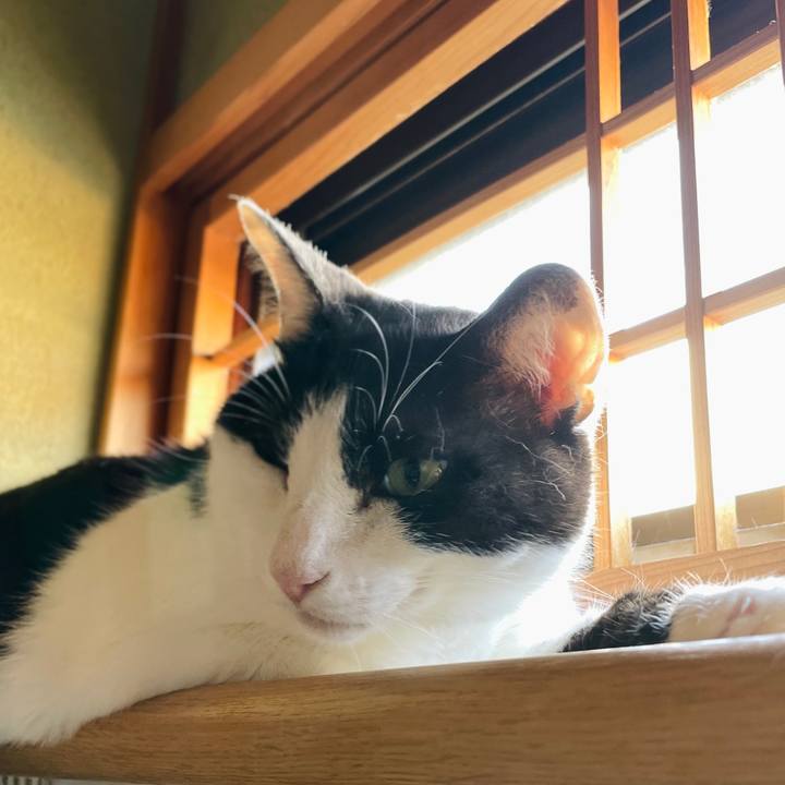 Bdbab4c0 0af2 4225 b8db 6d41dce507b6 1659145991795