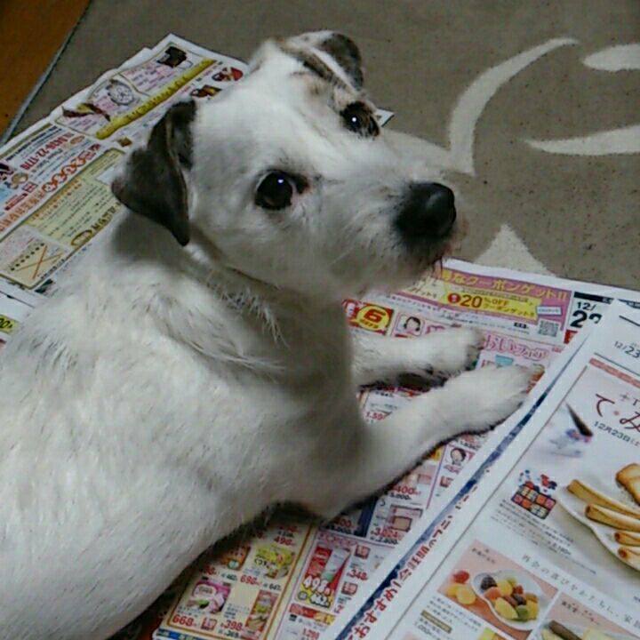 Bdbad110 445f 463c 918a bfe990cf2504 1513983166535