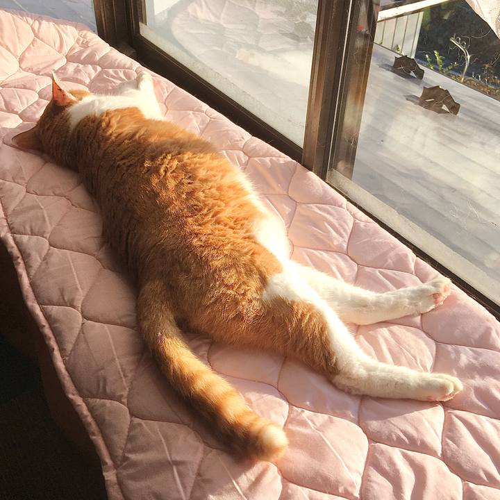 Bdbaf343 f632 4836 b709 72d6ff129320 1577454363570