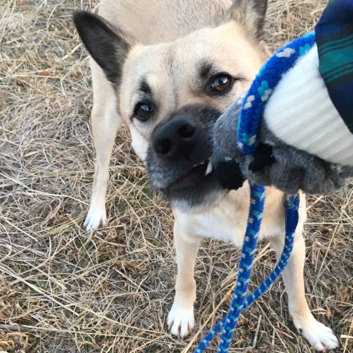 Bdbaf77f ce7a 41eb 89e3 6b2f2bee3d35 1517310657803