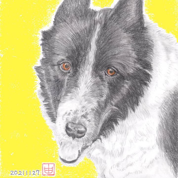 Bdbb0733 1051 4c60 9510 e4a98b95aebd 1638021147969