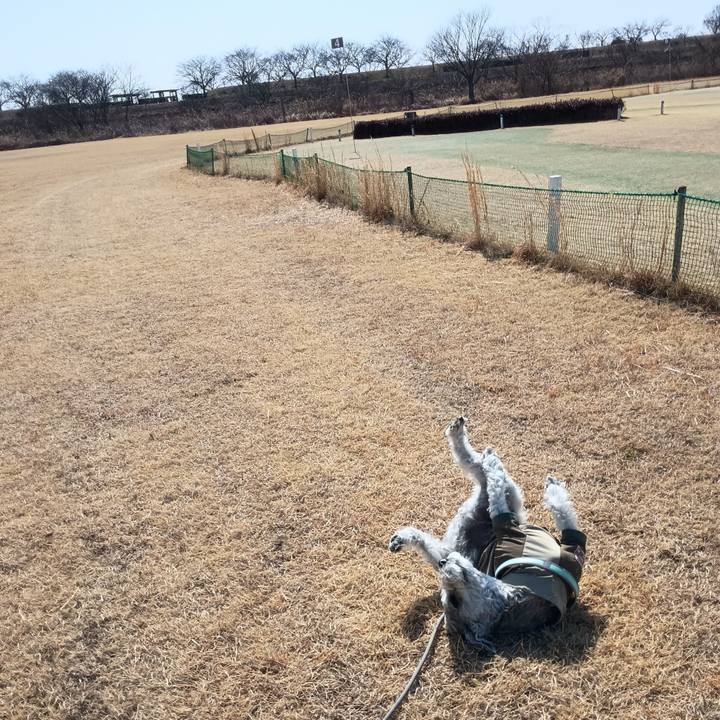 Bdbb2a06 24b3 47d3 acb8 d9f191142a1a 1772364513922