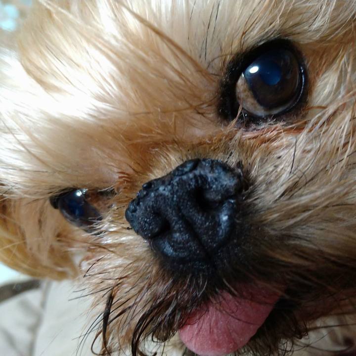 Bdbb4f1a 1399 4e38 ae28 bdef0b8e154b 1610976337439