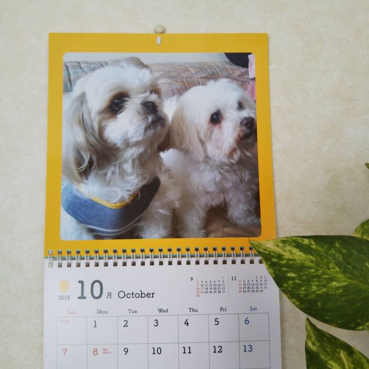 Bdbb50ce d46e 4c43 9744 794a8393bc54 1538450950252