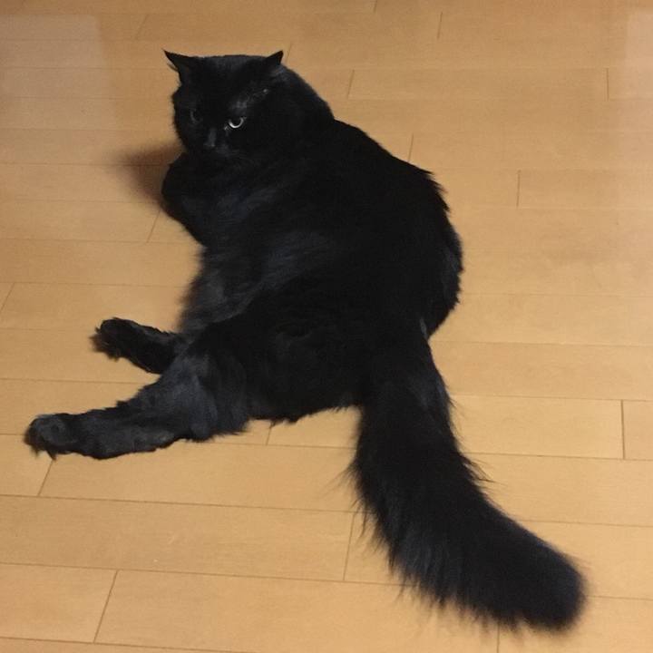 Bdbb6a78 1e10 4e31 8115 5f46c756804f 1529077534475