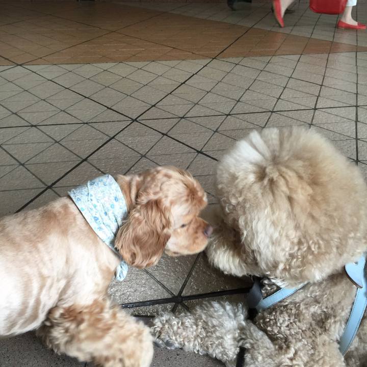 Bdbb839b ef12 45e3 a941 05246c8753ea 1517238367182