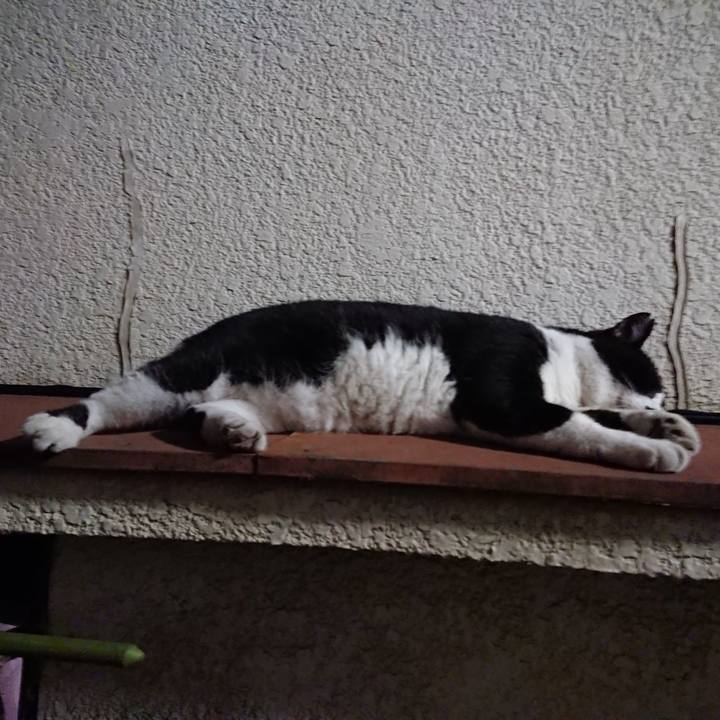 Bdbb8721 6059 494f bdbb 4ca7bdd11c79 1532093171733