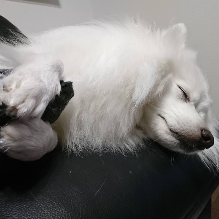 Bdbb8cb9 c831 48a5 93c4 d3575856adb5 1606139131734