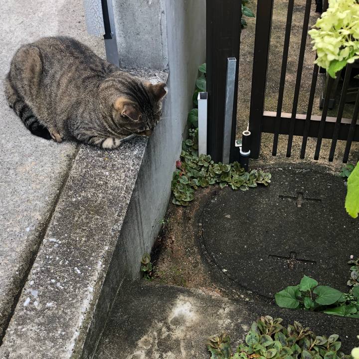 Bdbbc766 0bf6 4a55 9111 5a7ca3b8f369 1533000210244