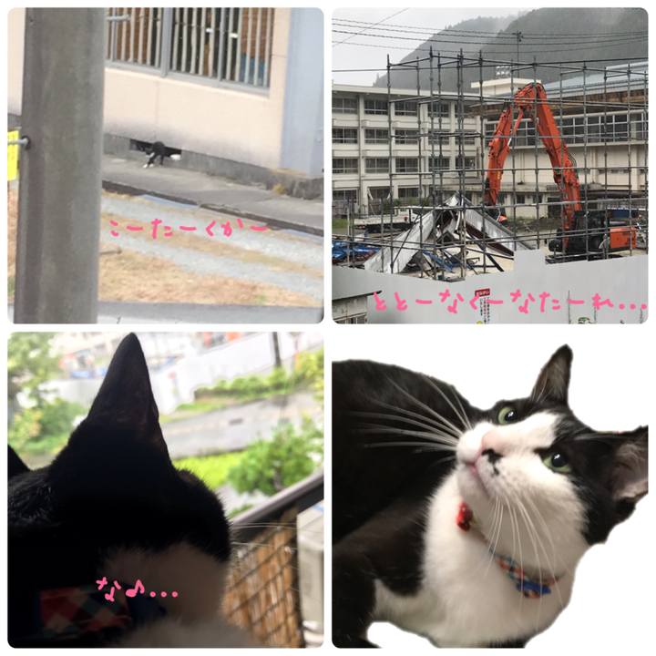 Bdbbf5d2 ce4f 49bb 9c03 4482893e1b2a 1629353055039