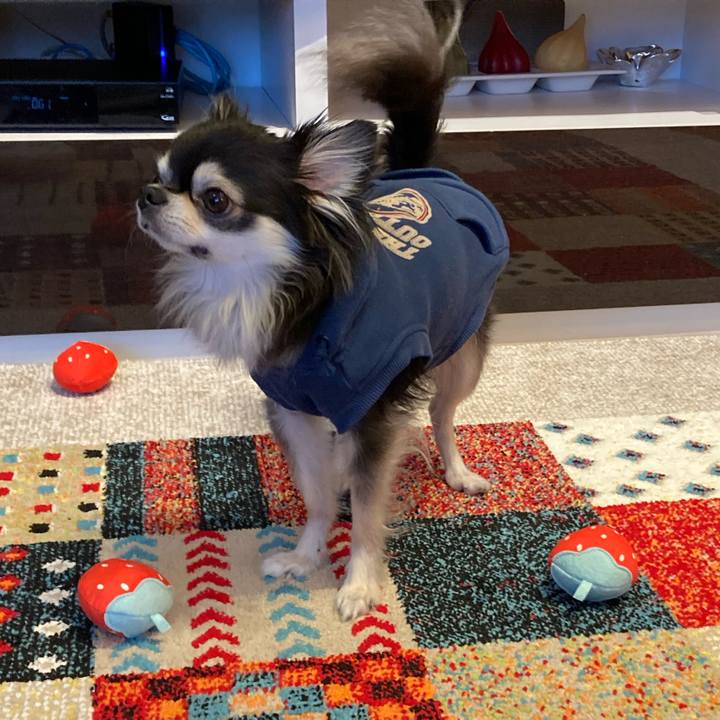 Bdbbf72d fb23 4a29 81a3 f94214f0d0e3 1708189862175