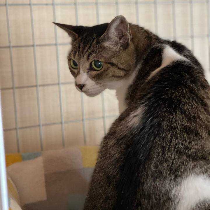 Bdbbf852 7201 4ab7 9f24 f64bff6fa0ba 1661049422926