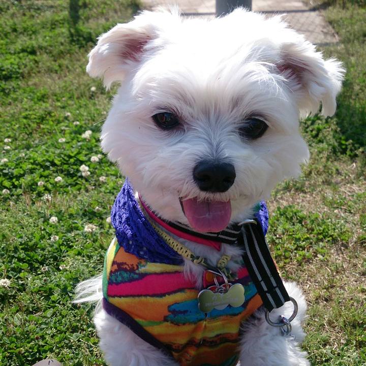 Bdbc0381 8c0d 4d6c a235 3fdfef6b60fe 1523272639125