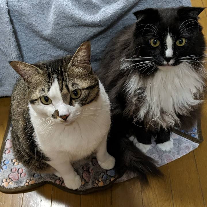 Bdbc3b1a a4a9 47ef bfd7 56577e1ae399 1671958297998