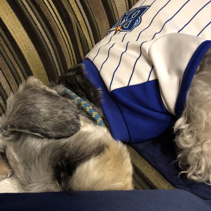 Bdbc4e4c 3d37 4979 8e80 52c668a7aaa2 1524659497625