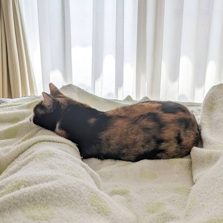 Bdbc4f31 9409 40cf 8bf6 f4129fc77242 1695699311526