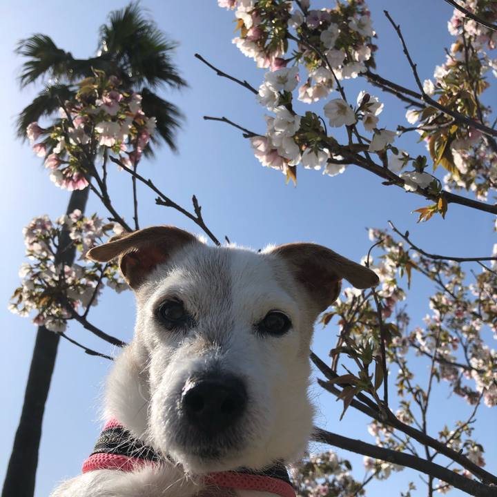 Bdbca172 8044 40d3 8b52 da642d308264 1617492621686